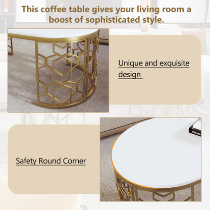 Oval Shaped Coffee Table
